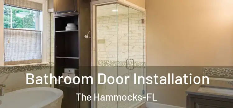 Bathroom Door Installation The Hammocks-FL