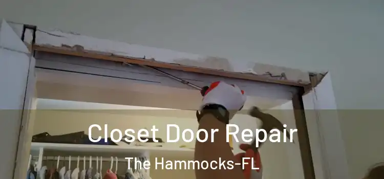  Closet Door Repair The Hammocks-FL