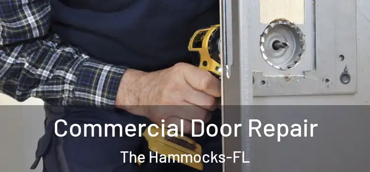 Commercial Door Repair The Hammocks-FL