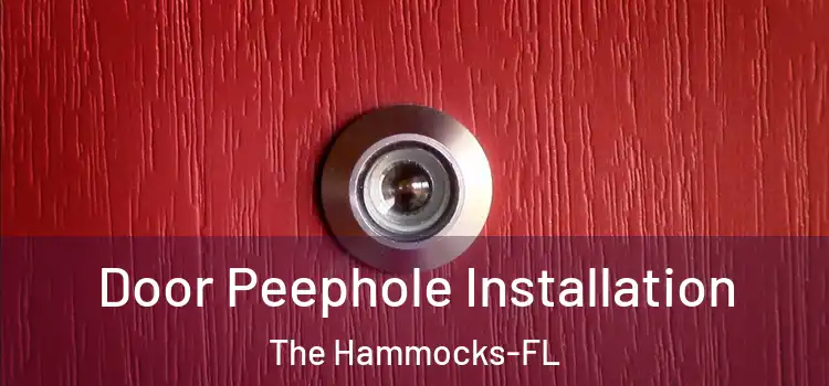  Door Peephole Installation The Hammocks-FL