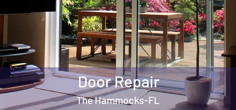  Door Repair The Hammocks-FL