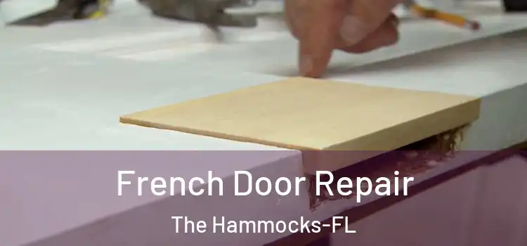 French Door Repair The Hammocks-FL