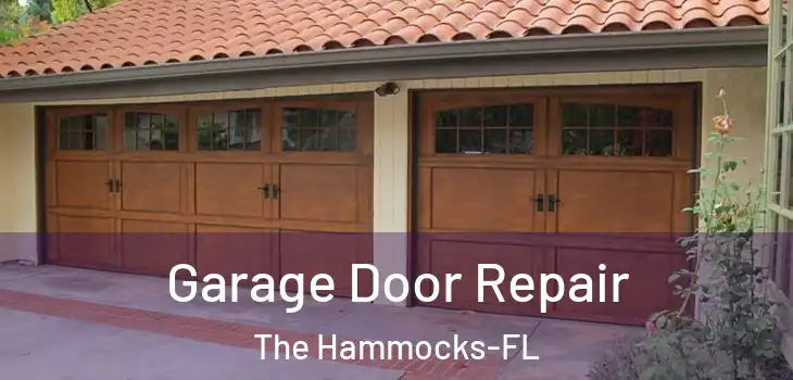  Garage Door Repair The Hammocks-FL