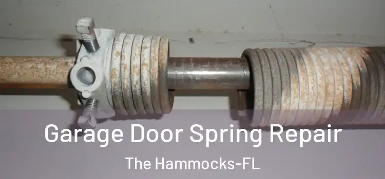 Garage Door Spring Repair The Hammocks-FL