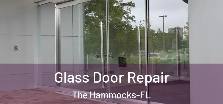  Glass Door Repair The Hammocks-FL