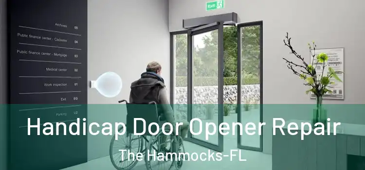  Handicap Door Opener Repair The Hammocks-FL