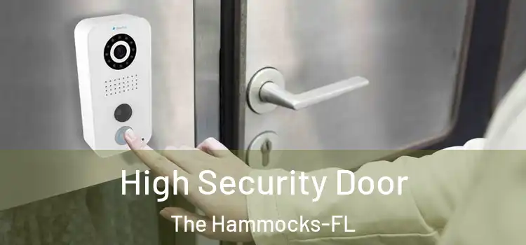 High Security Door The Hammocks-FL